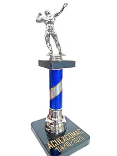 d nq np 2x 803828 mlm78655739991 082024 t